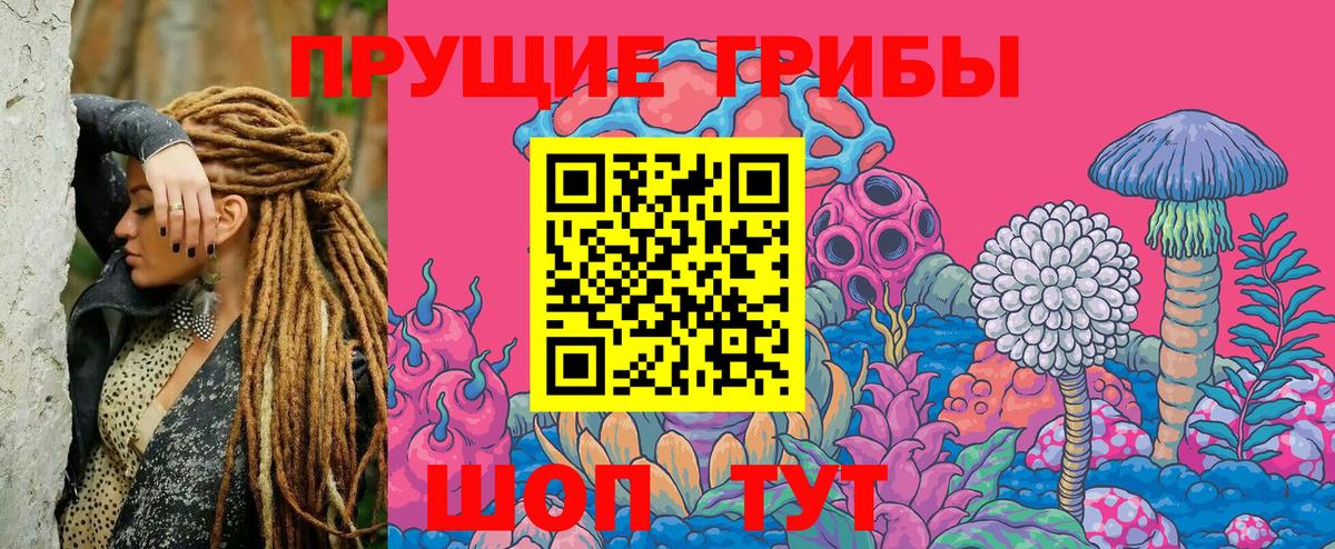 Псилоцибиновые грибы Cubensis Кизляр