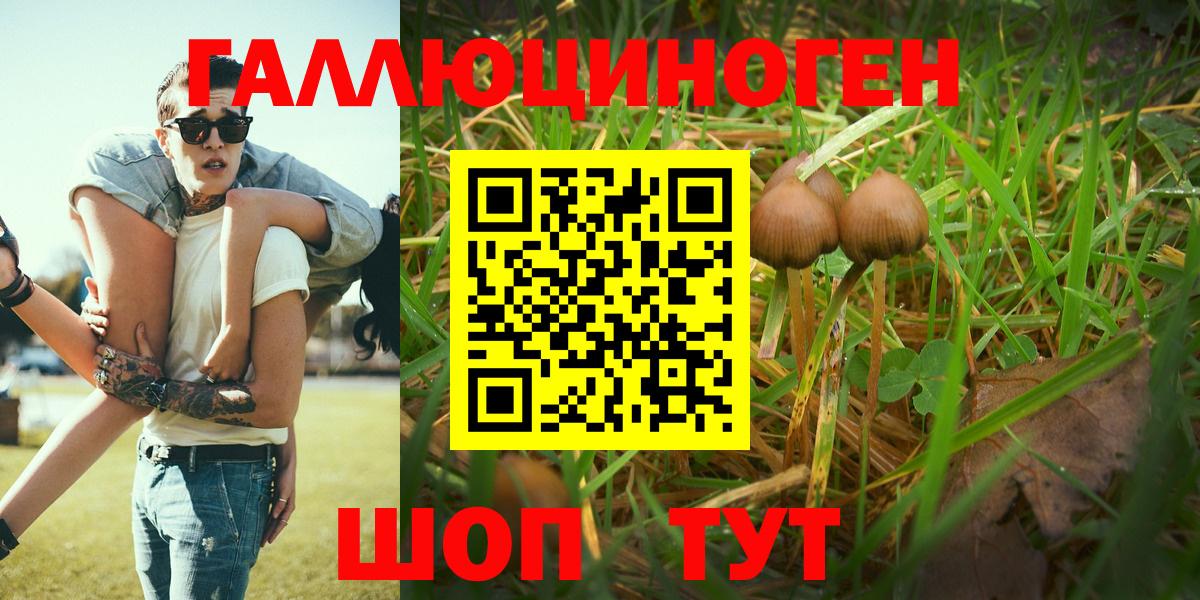 Кизляр  Псилоцибиновые грибы мицелий  Вход с VPN 