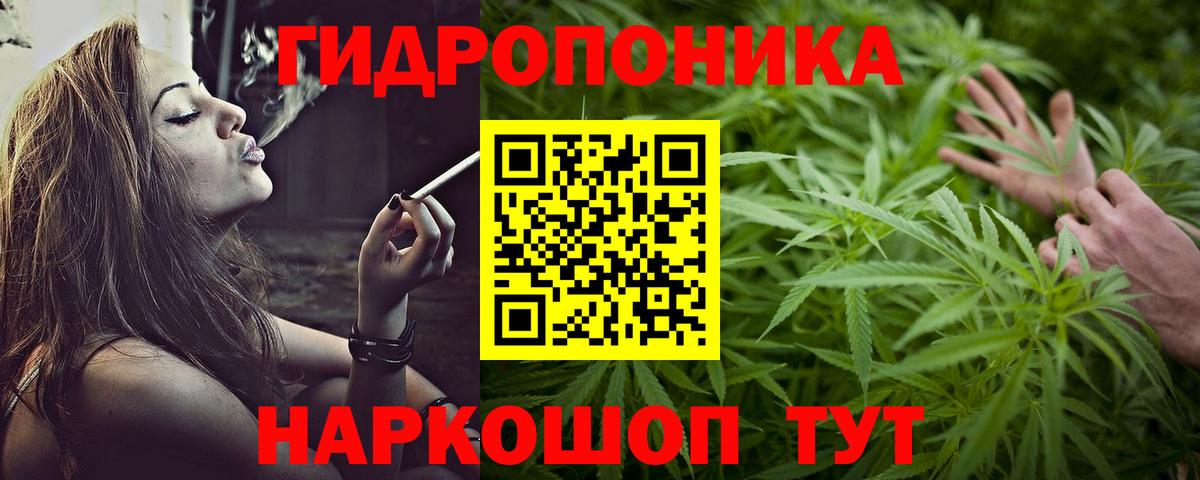 Бошки марихуана SATIVA & INDICA  Канабис семена  Вход с VPN  МАРИХУАНА THC 21%  Кизляр  Марихуана MAZAR 